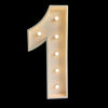 Light up Numbers