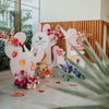 Backdrop (Cacti Props)