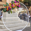 Backdrop (Mesh Circle)