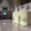 Backdrop (Flower/Greenery Wall)