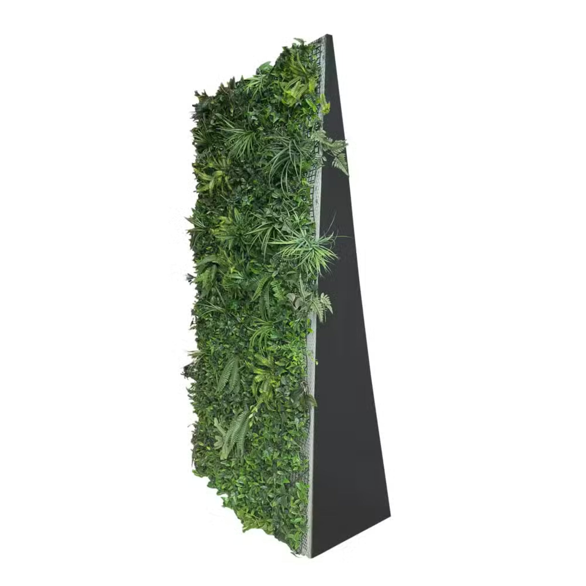 Backdrop (Foliage)