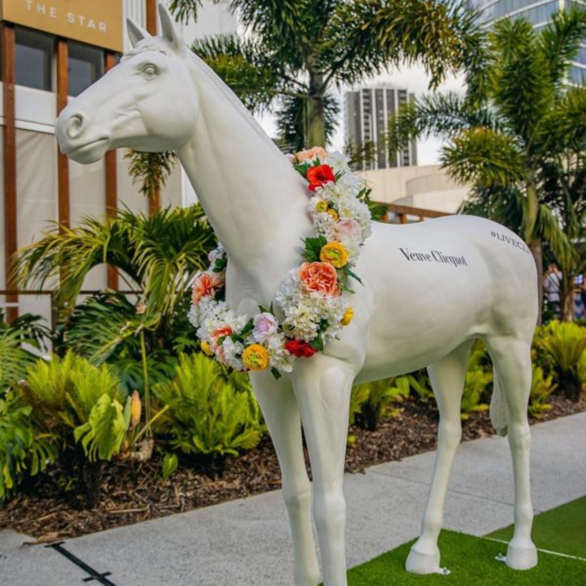 Backdrop (White Horse)