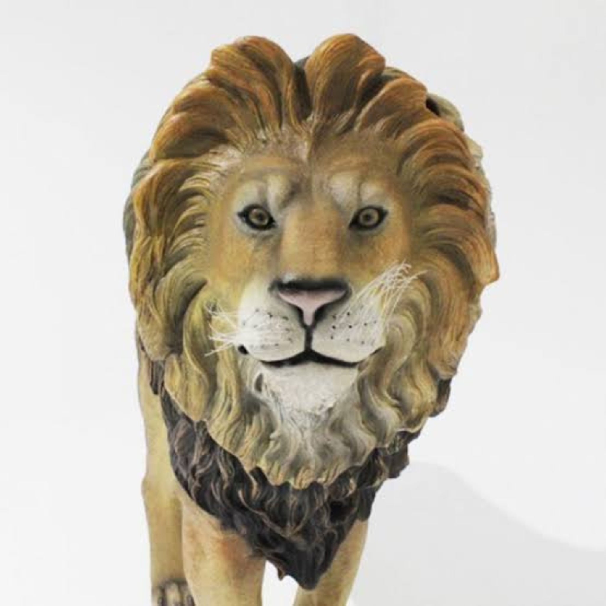 Backdrop (Lion)
