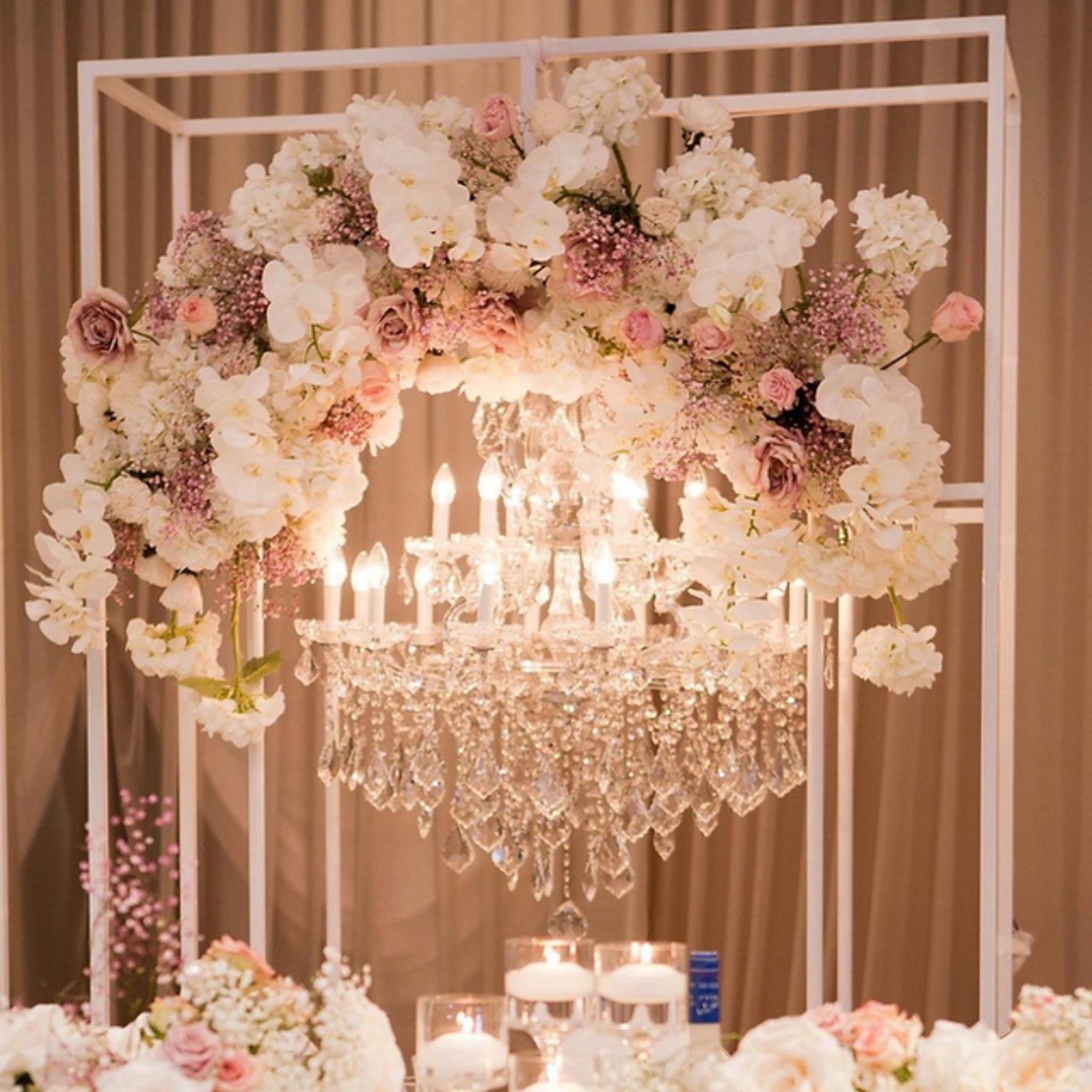 Backdrop (Arch Wire)